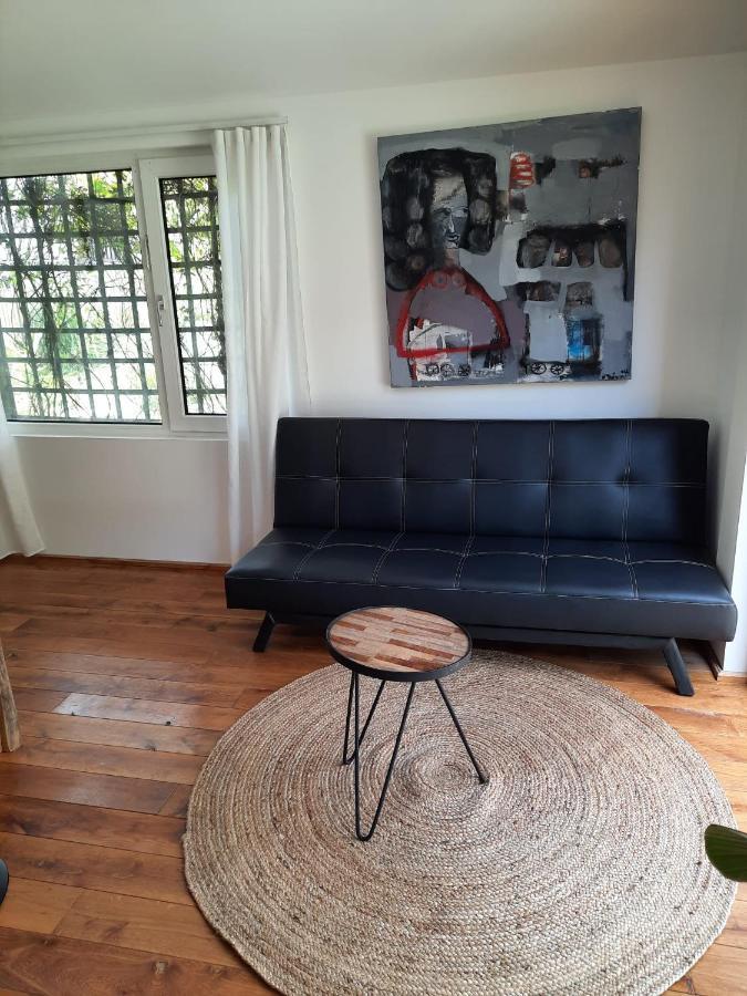 Arthouse Lola *